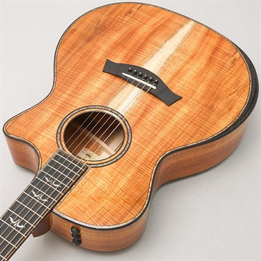 TAYLOR LTD 924ce 50th Anniversary Amp テイラー 画像5