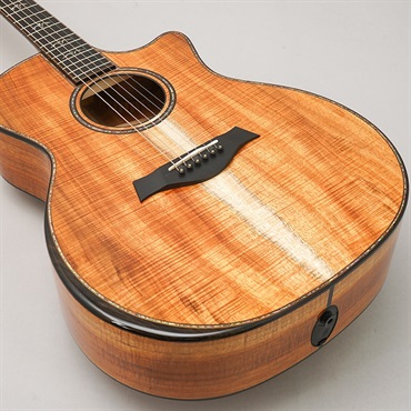 TAYLOR LTD 924ce 50th Anniversary Amp テイラー 画像7
