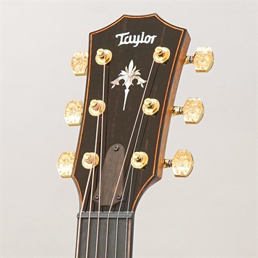 TAYLOR LTD 924ce 50th Anniversary Amp テイラー 画像8