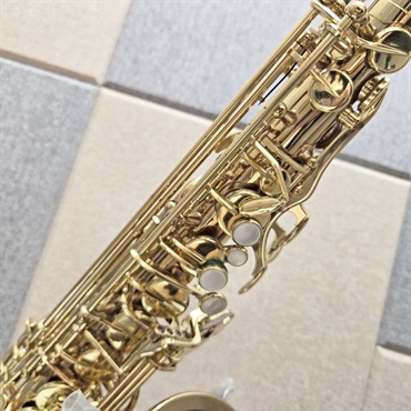 Selmer Paris USED 中古 セルマー アルトサックス SA-80II w/o GL S/N:516xx2 【調整&セットアップ後出荷】【5年間キーバランス調整無料】 画像2