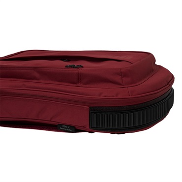 Ritter 【夏のボーナスセール】 RGA5-E SRD for Electric Guitar エレキギター用 (Spicey Red) 画像4