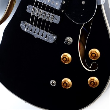 Aria ProII TA-200 BK (Black)【特価】 画像4