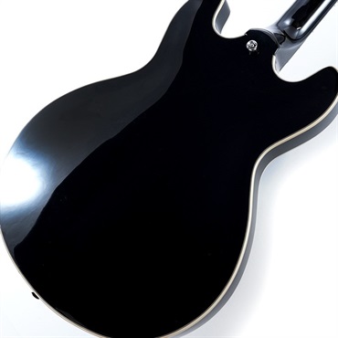 Aria ProII TA-200 BK (Black)【特価】 画像5