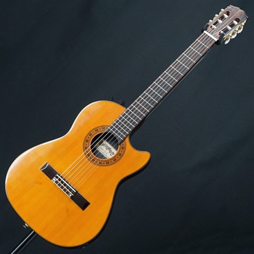 unknown USED 中古 GALLAGHER AN2 【SN.8857584】 画像2
