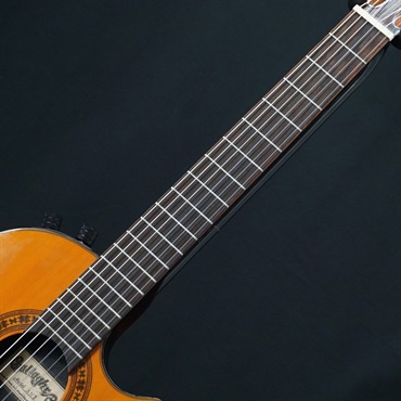 unknown USED 中古 GALLAGHER AN2 【SN.8857584】 画像4