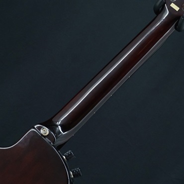 unknown USED 中古 GALLAGHER AN2 【SN.8857584】 画像5