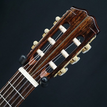 unknown USED 中古 GALLAGHER AN2 【SN.8857584】 画像6