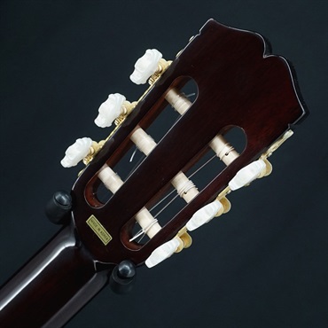 unknown USED 中古 GALLAGHER AN2 【SN.8857584】 画像7