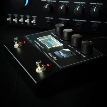 Echo Fix EF-P2 Spring Reverb Pedal（スプリングリバーブ） 画像5