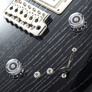 P.R.S. Swamp Ash Special (Black Doghair Smokeburst) [SN.0404070] 【2025年生産品】 画像5
