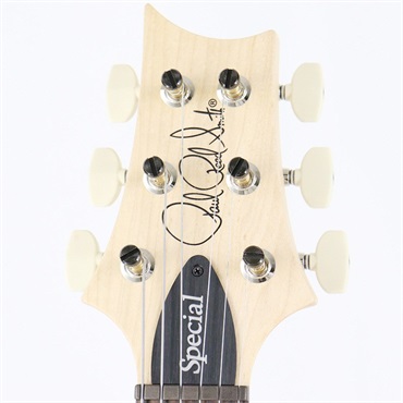 P.R.S. Swamp Ash Special (Black Doghair Smokeburst) [SN.0404070] 【2025年生産品】 画像8