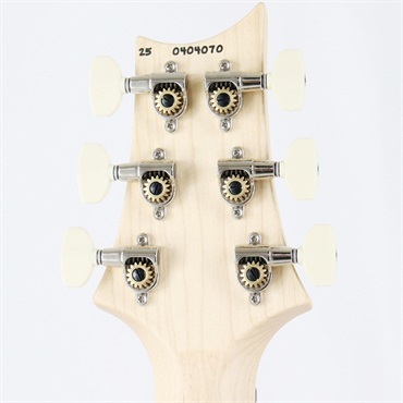 P.R.S. Swamp Ash Special (Black Doghair Smokeburst) [SN.0404070] 【2025年生産品】 画像9