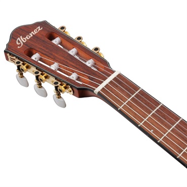 Ibanez FRH10N-RGF (Rose Gold Metallic Flat) 【旧仕様特価】 画像3