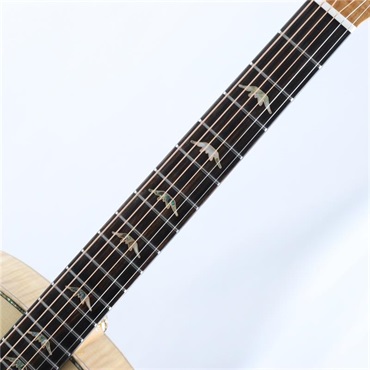 Bromo Guitars DANALI SERIES BAN7E ブロモ 画像3