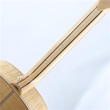 Bromo Guitars DANALI SERIES BAN7E ブロモ 画像7