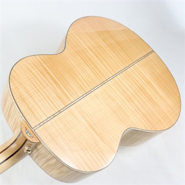 Bromo Guitars DANALI SERIES BAN7E ブロモ 画像9