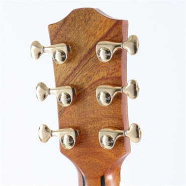 Bromo Guitars DANALI SERIES BAN2CE ブロモ 画像5