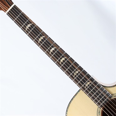 Bromo Guitars DANALI SERIES BAN2CE ブロモ 画像6