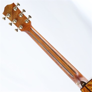 Bromo Guitars DANALI SERIES BAN2CE ブロモ 画像7