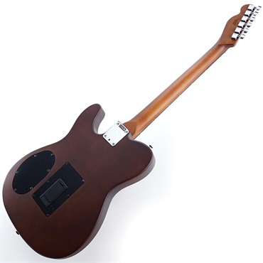 Fender Acoustics Acoustasonic Standard Telecaster (Honey Burst) 画像2