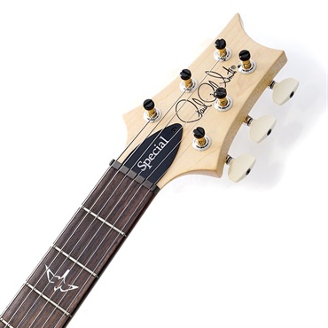 P.R.S. Swamp Ash Special (Scarlet Smokeburst) SN.0402923 2025年生産品 画像8