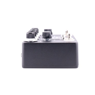 BROWNE AMPLIFICATION The Protein Black -Dual Overdrive- 画像3
