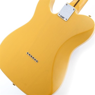 Fender MEX Player Plus Nashville Telecaster (Butterscotch Blonde/Maple) 【特価】 画像7