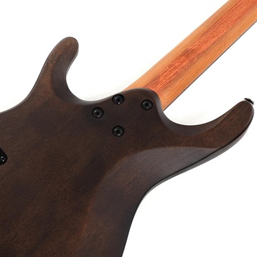 Ibanez Q52PE-NTF (Natural Flat) [Limited Model] 画像5