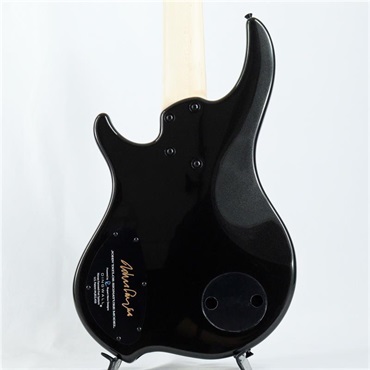 DINGWALL JT-3 5st John Taylor Signature Model (Metallic Black/PF) #18619 画像4