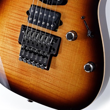 Ibanez j.custom RG8570-BSR (Brownish Sphalerite) [SPOT MODEL] SN.F2422060 画像4