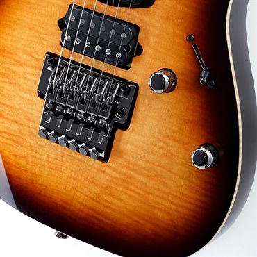 Ibanez j.custom RG8570-BSR (Brownish Sphalerite) [SPOT MODEL] SN.F2422099 画像4