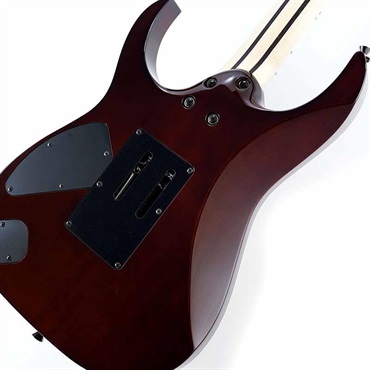 Ibanez j.custom RG8570-BSR (Brownish Sphalerite) [SPOT MODEL] SN.F2422099 画像7