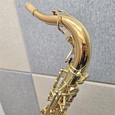 YANAGISAWA USED 中古 ヤナギサワ テナーサックス T-WO20 S/N:357xx3 【調整&セットアップ後出荷】【5年間キーバランス調整無料】 画像1