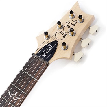 P.R.S. Swamp Ash Special (Jasper Smokeburst) SN.0403759 2025年生産品 画像8