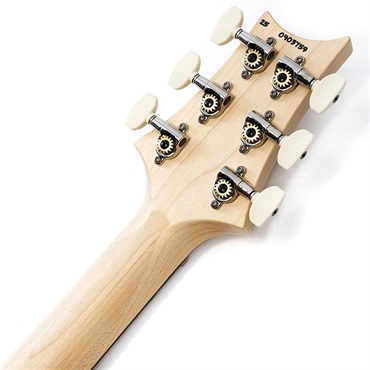 P.R.S. Swamp Ash Special (Jasper Smokeburst) SN.0403759 2025年生産品 画像9