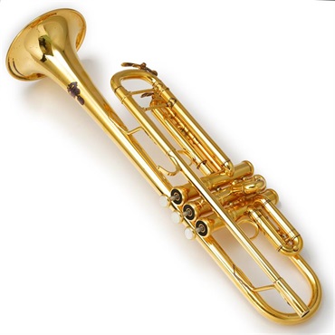 YAMAHA USED 中古  ヤマハ /  YTR-8335WGP #5393*4【Bb トランペット】【出荷前調整で安心】【夏のボーナスセール】 画像2