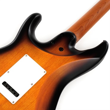 Ibanez Premium ATZ10P-STM [Andy Timmons Signature Model] [SPOT MODEL]【特価】【ご本人直筆サイン入り】 画像5