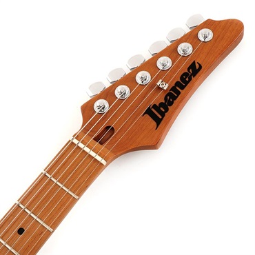 Ibanez Premium ATZ10P-STM [Andy Timmons Signature Model] [SPOT MODEL]【特価】【ご本人直筆サイン入り】 画像6