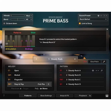 Native Instruments 【ネイティブインストルメンツSummer Sale 2026！】Session Bassist - Prime Bass(オンライン納品)(2時間以内に納品) 画像2