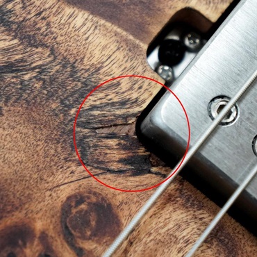 Ibanez Q52PB-ABS [SPOT MODEL]【特価】 画像9