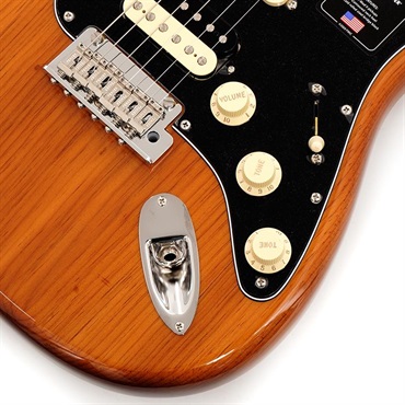 Fender USA American Professional II Stratocaster HSS (Roasted Pine /Maple) 【The Spring Summer 2026 Campaign】 画像4