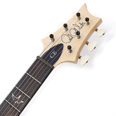 P.R.S. CE 22 Limited Edition (Black Amber) SN.0404031 2025年生産品 画像8