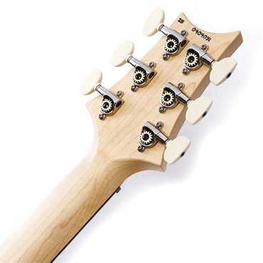 P.R.S. CE 22 Limited Edition (Black Amber) SN.0404031 2025年生産品 画像9