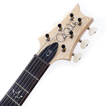 P.R.S. CE 22 Limited Edition (Carroll Blue) SN.0405424 2025年生産品 画像8
