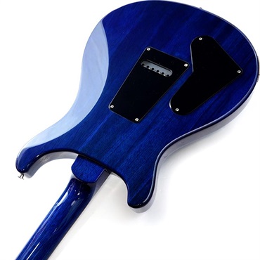 P.R.S. S2 Special Semi-Hollow (Lake Blue) SN.S2079927 画像6