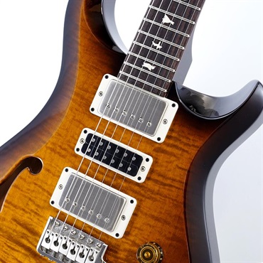 P.R.S. S2 Special Semi-Hollow (Black Amber) SN.S2079956 画像3