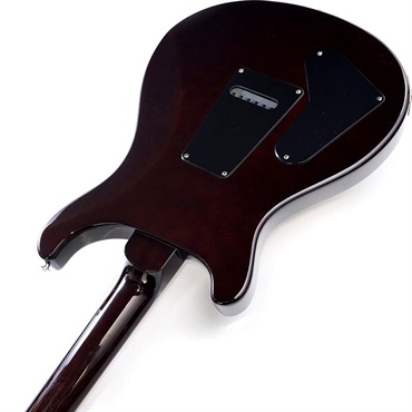 P.R.S. S2 Special Semi-Hollow (Black Amber) SN.S2079956 画像6