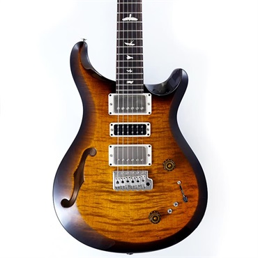P.R.S. S2 Special Semi-Hollow (Black Amber) SN.S2079956 画像10