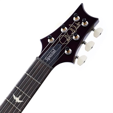 P.R.S. S2 Special Semi-Hollow (Faded Gray Black Purple Burst) SN.S2079985 画像8