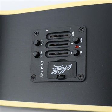 MATON 【ケースキズ特価】EBG808PF LTD G.BLK 【10本限定モデル】 メイトン 画像9